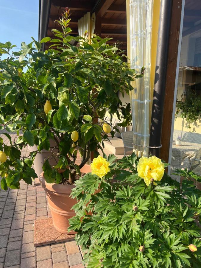 La Mimosa Lazise酒店 外观 照片